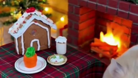 🐹🎄 My Hamster Built a Tiny Christmas Home… This Is Too Cute to Handle ❤️✨