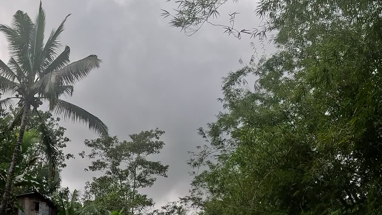 🌧️ Expat in the Philippines | Afternoon Rain Rolling In Over the Farm ⛈️