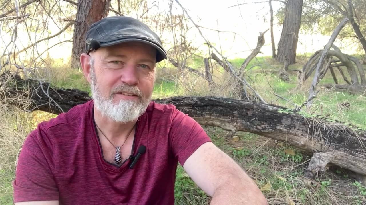 The Lost Art of Disagreement