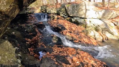 Roaring Falls