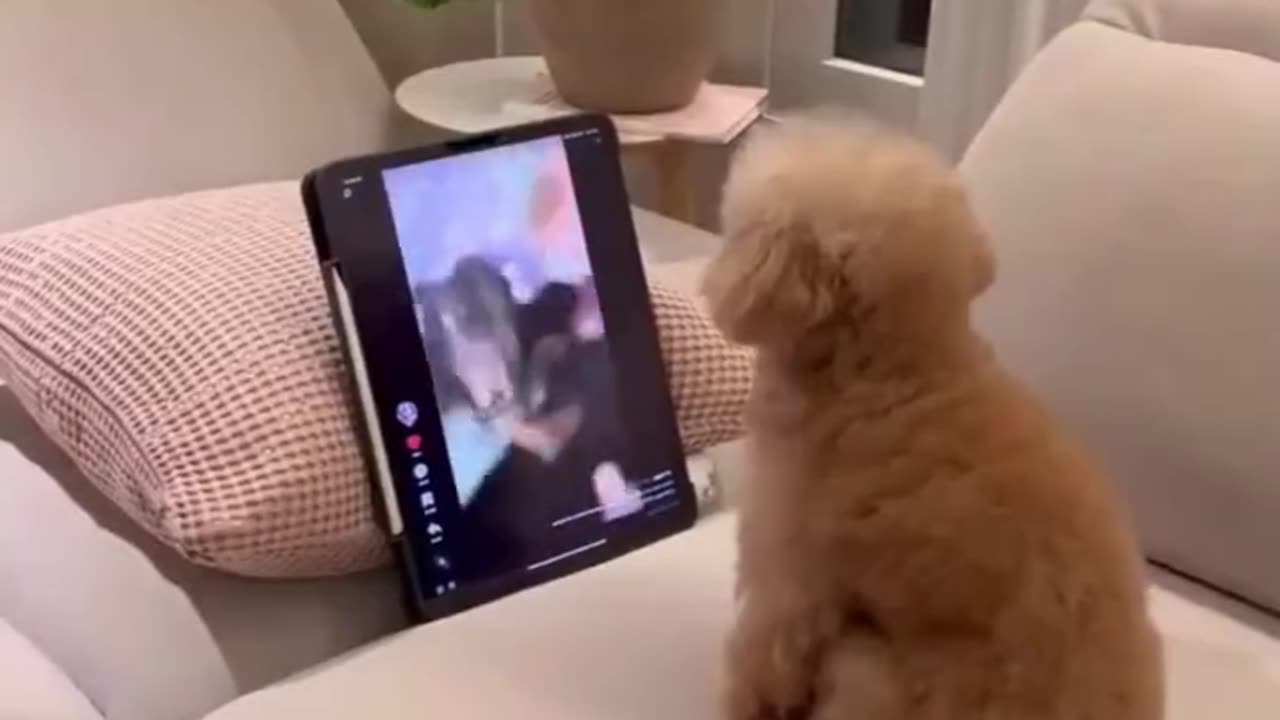 Her Reaction 🤣🤣🤣🤣