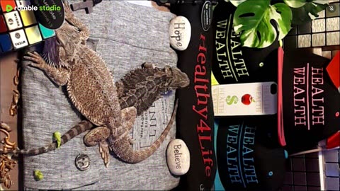 ⭕2025 Live Stream Day 8🔴 With 🐉 Mascots 🍎 🐲 Kobe & Health A Day In The Life Of Bearded Dragons🐲Day8🐉⭕Live🦎Stream🔴