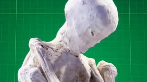 🤯 Dr. McDowell Unveils BIZARRE Tridactyl Discovery! | TheTruthAbove