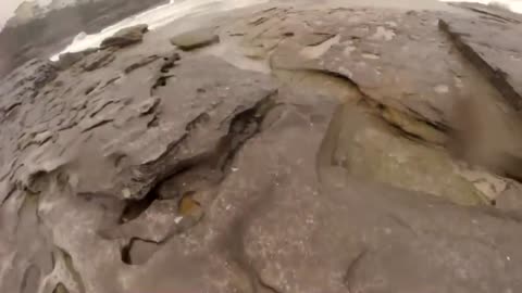 😂🤣 My Guy Went from English to Whatever He Was Saying | FunFM