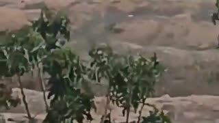 Egypt has moved heavy armored vehicles to positions along the Israeli border.