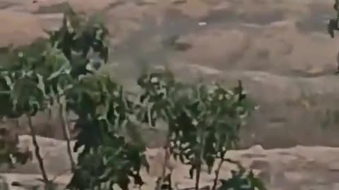 Egypt has moved heavy armored vehicles to positions along the Israeli border.