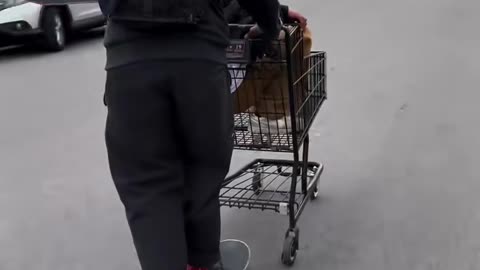 😂🔥 This Looks Like So Much Fun! | SkateNation