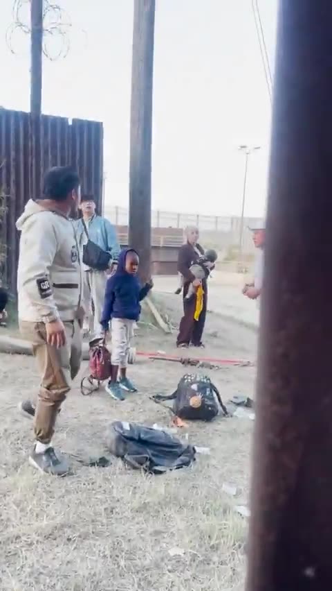 Groups of illegal migrants are attempting to enter America with a ladder..