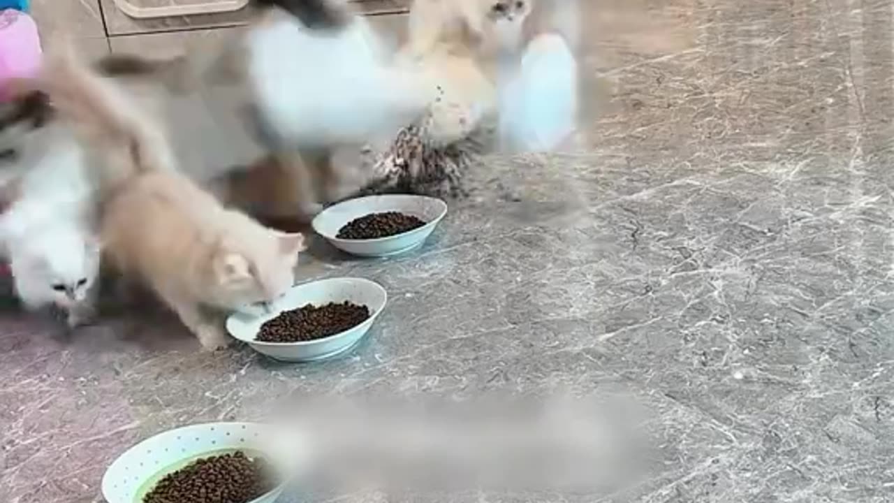 How do you want to scare these animals? What do you think?