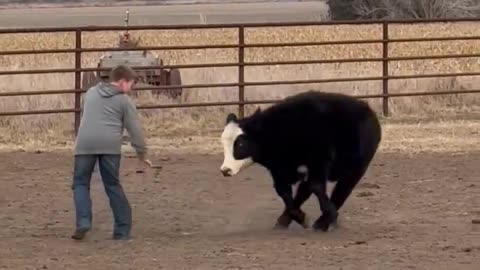 Woe Day 133. I am in the ark. Waiting for GOD to open the Door for a spring/summer Pentecost rapture