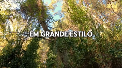 Deus Mandou Te Dizer, Não Desista Agora! Oração Devocional Inspiradora