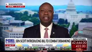 Sen. Tim Scott reveals Elon Musk gave his phone number to Republicans who want to work with him