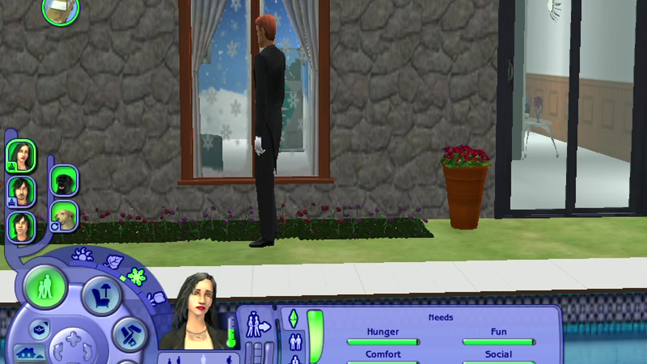 Sims 2 butler glitch