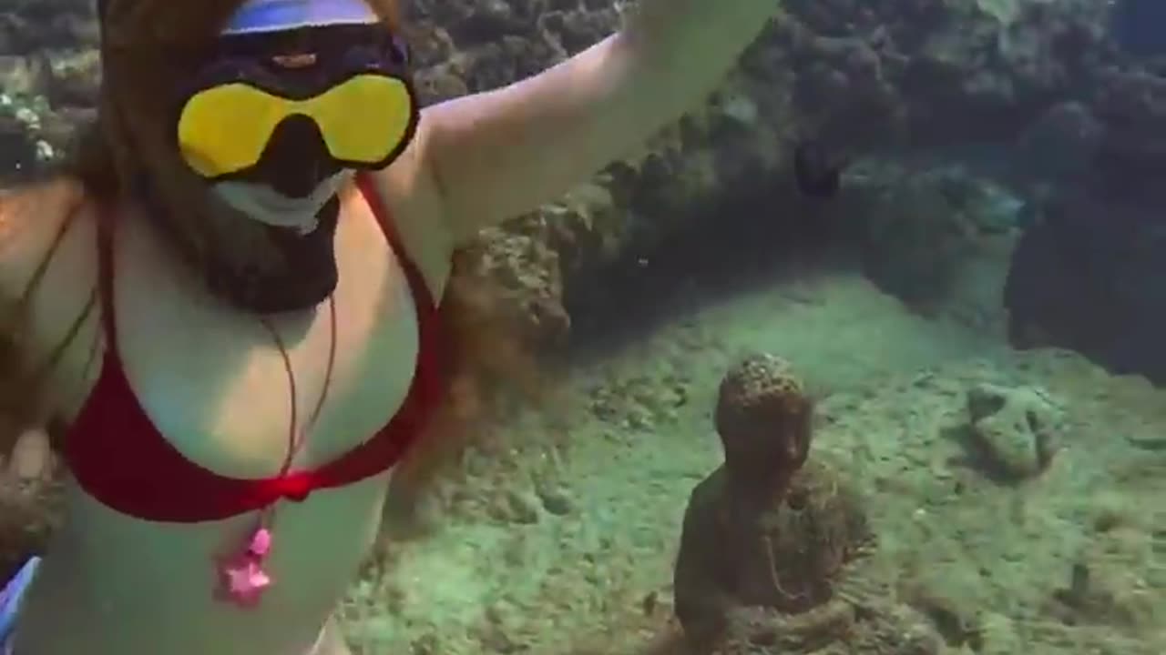 A_fish_protects_the_Buddha_statue🥹_#freediver_#freediving_#underwaterworld_#oceansounds_#asmrvideo