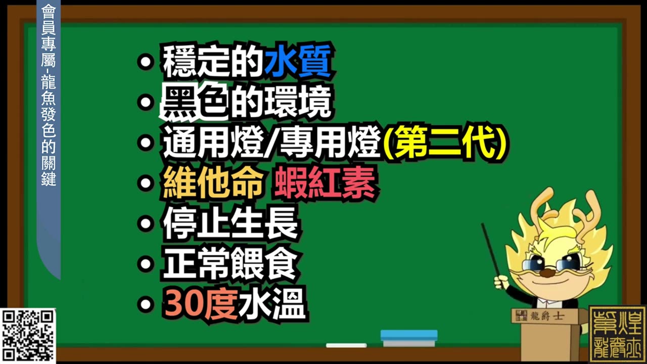 【龍爵士】YOUTUBE會員專屬-紅龍-金龍-藍底怎麼養色_龍魚發色的必備條件 _水族_龍魚_進階會員