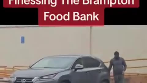 The State of Canada: Diversity is Death - People With Nice Cars Finessing Brampton Food Bank
