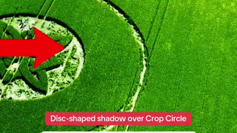 👽😱 YouTuber Catches IMPOSSIBLE Disc-Shaped UFO / UAP! | TheTruthAbove