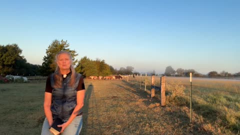 Daily Office, Morning Prayer