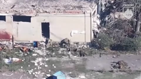 Russian Assault Group Gets Pinned Down By Ukrainian Machine Gunners, Become Easy Target for Drones