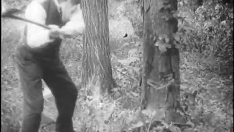 [HENRY FORD AND JOHN BURROUGHS] - [HENRY FORD AND JOHN BURROUGHS] - fc-fc-2132