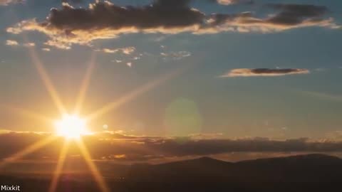 Your Daily Dose Of Internet