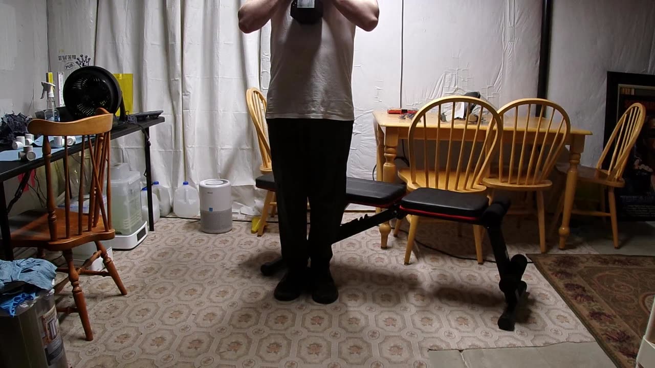 Getting Lunk: a Pavlov experiment #28