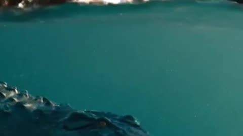 Land of Lost Giants: Surviving the World of Early Humans