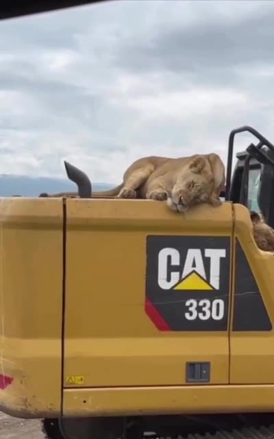 Hazard pay doesn’t cover this scenario 🤣