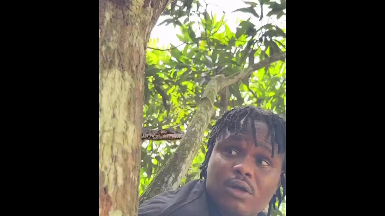 Daddy Goat 24/7 - Out Of Context Memes & Videos