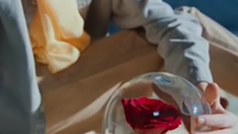 Daily Horoscope | Sagittarius 🌟