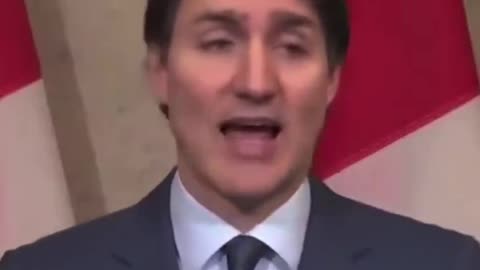 Trudeau claims Trump imposed tariffs.