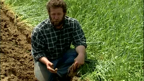 Cover Croppin... - Cover Cropping Techniques - Lewis Creek Farm, Starksboro, VT - edu.uvm.cropping.1