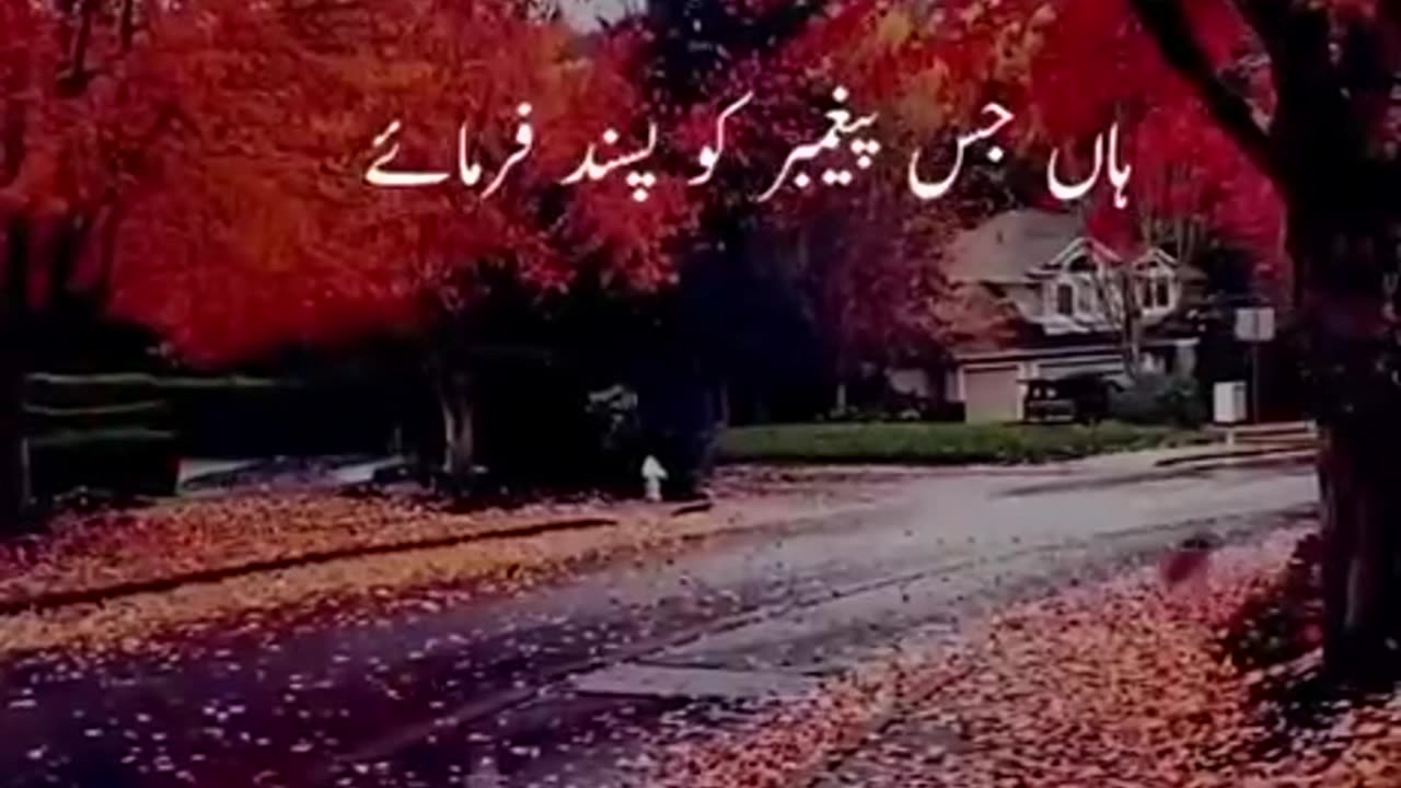 Beshak 💯