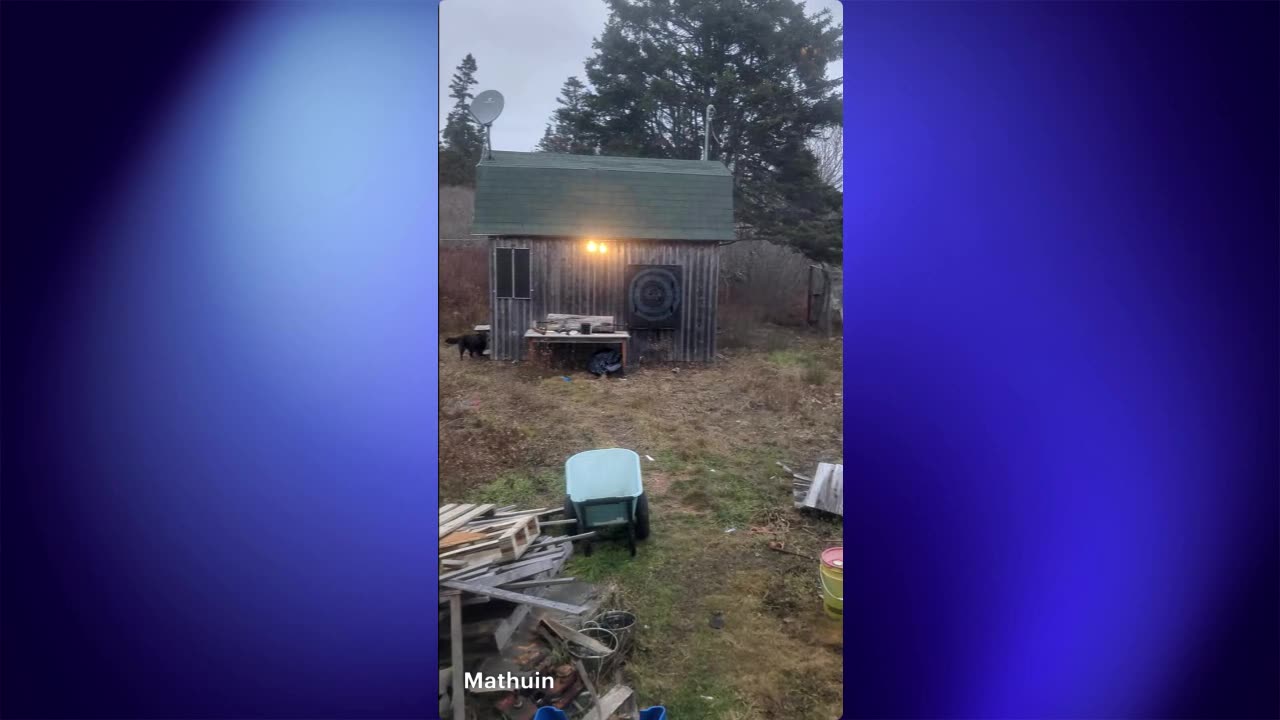 Trump Decriminalizes Weed