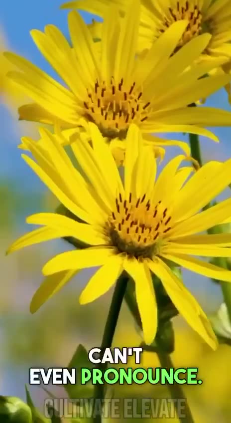 How the Rockefeller’s defunded natural healing