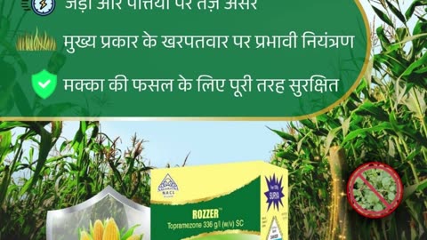 Plant Growth Regulators by NACL Industries Ltd in India|Insecticide