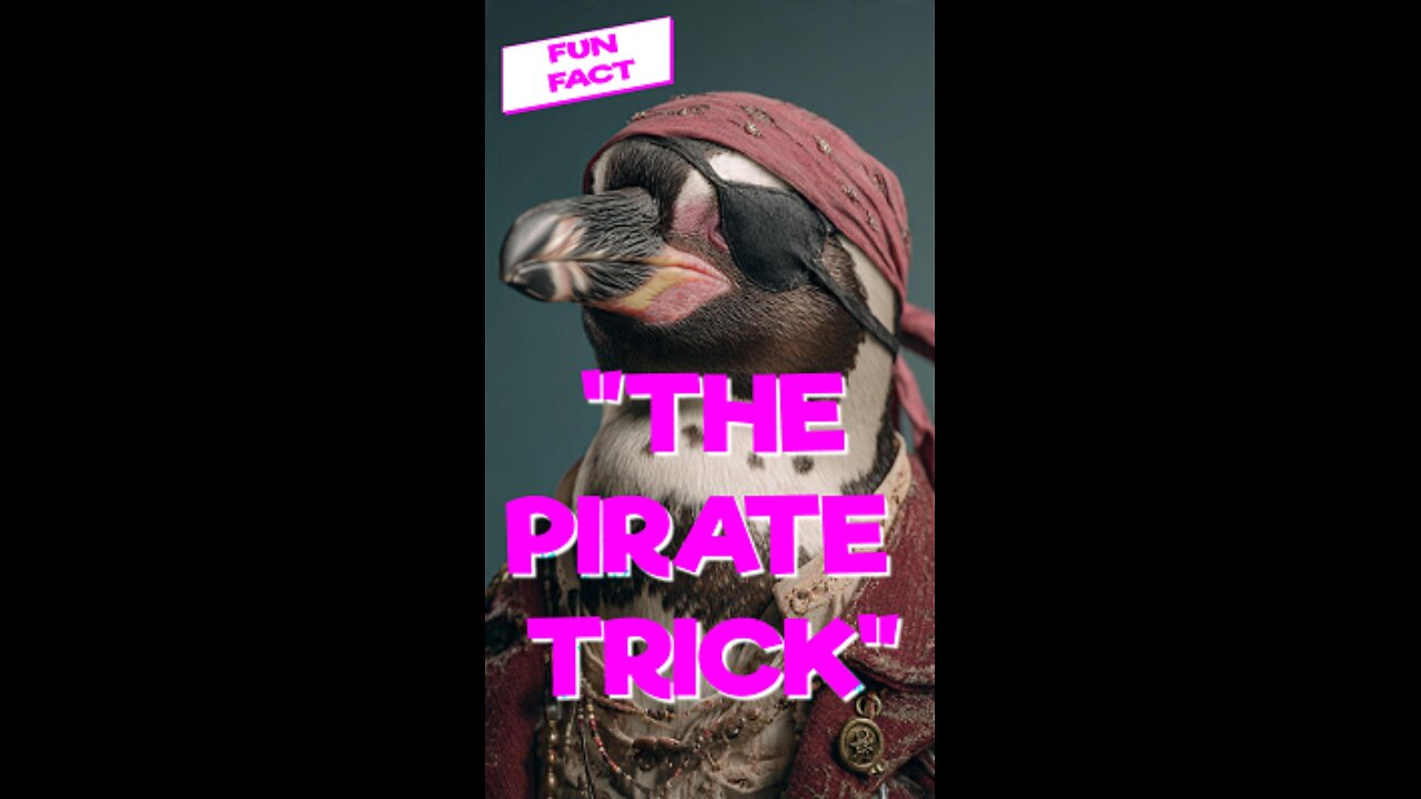 El Secreto Oculto del Parche Pirata