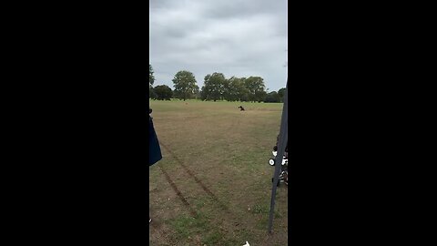 Racing