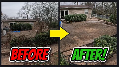 We Spent 2 Days Cleaning This Yard and Here's How It Turned Out!