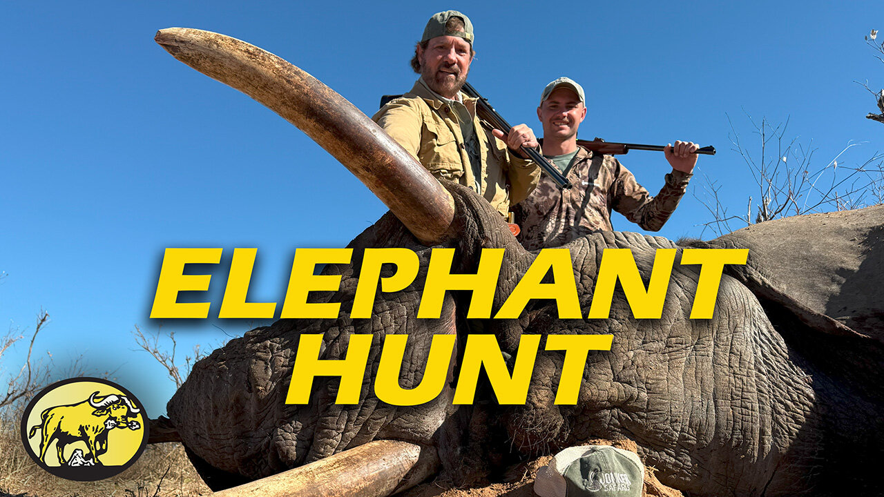 Inside the Kill Zone: Tim Sundles’ elephant hunt in Botswana