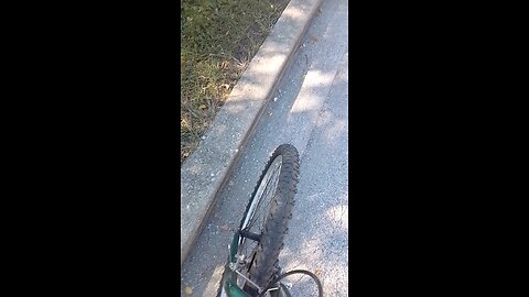 it's a beautiful sunny day in the hood