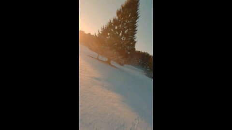 Daily Verse January 12th 2025