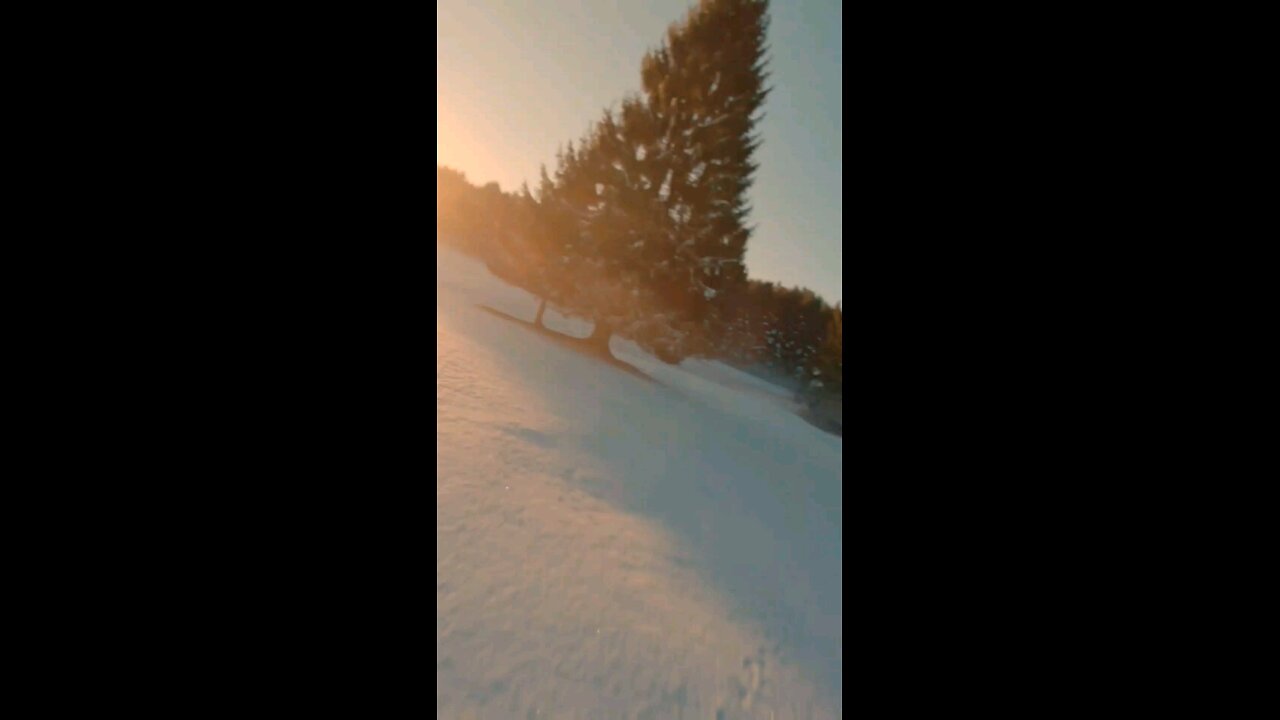 Daily Verse January 12th 2025