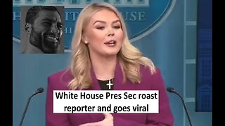 White House press secretary Leavitt roast reporter about illegals question