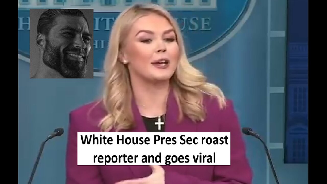 White House press secretary Leavitt roast reporter about illegals question