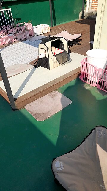 20251029. God Is Love.