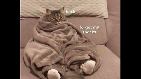 Cozy Stream LoL, Pokemon XD, N64? On a cold ahh afternoon.