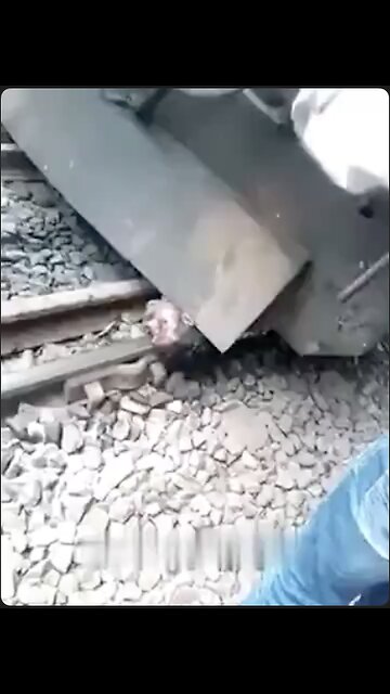 Man survives fall under a train by the slimmest of margins. He walks away...sort of.😳🚉