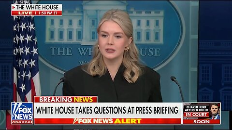 Karoline Leavitt SLAMS Schumer Over Health Care Vote