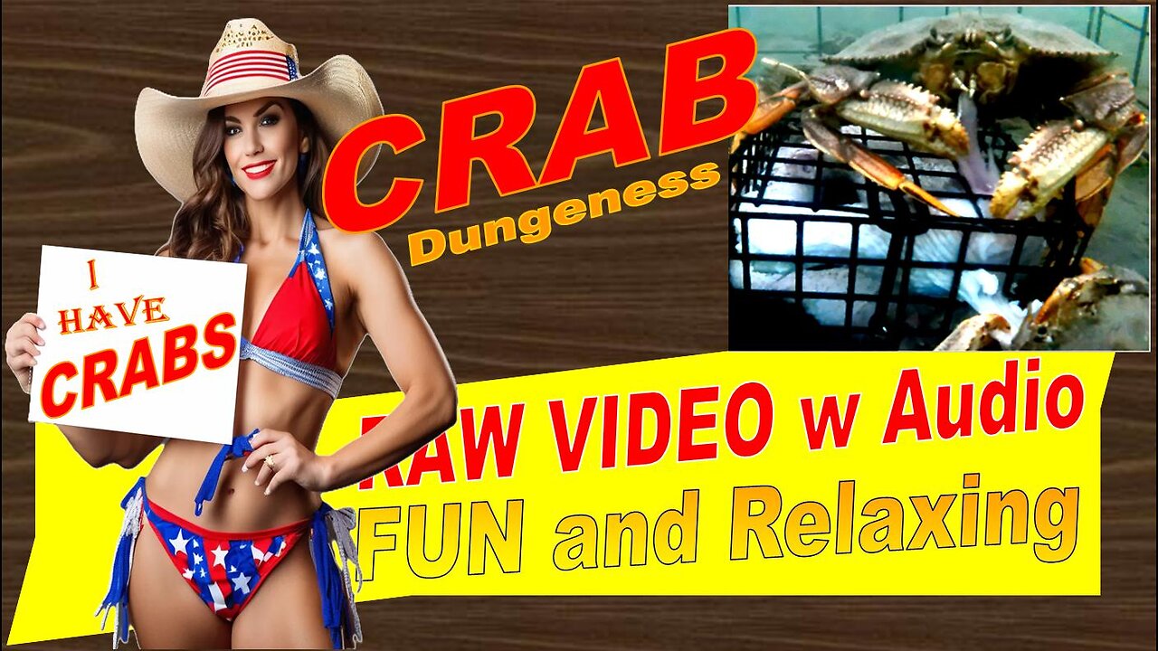 LovingKindWarm Crab Video Underwater Crab Pot Fish Boat ASMR Visual/Audio Fun Sept 2d 2024b Raw PV